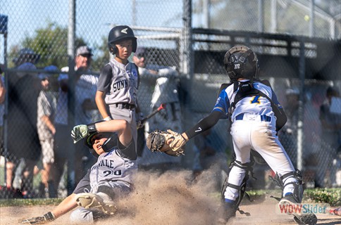 Sunnyvale LL to host 8-10 Section 5 Tourney 7/11-17